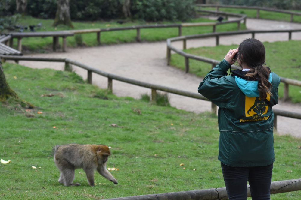 Researcher Rachel observing a female adult in the French group