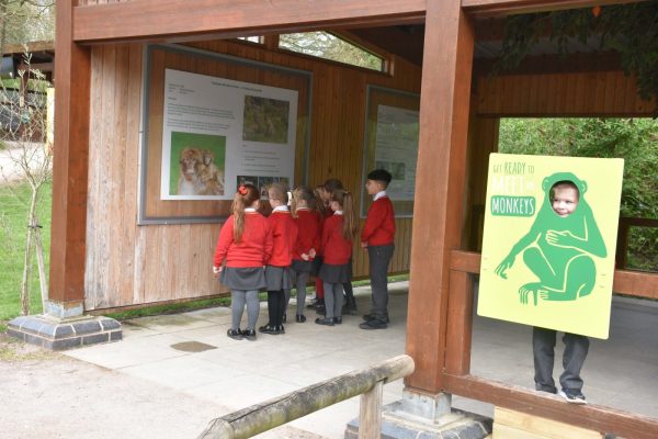 School trip at Monkey Forest