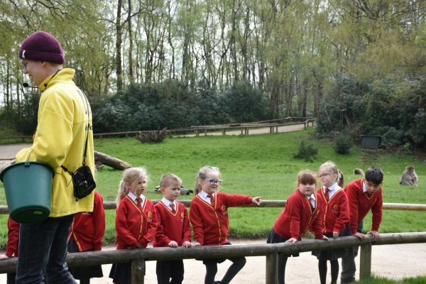 School trip at Monkey Forest