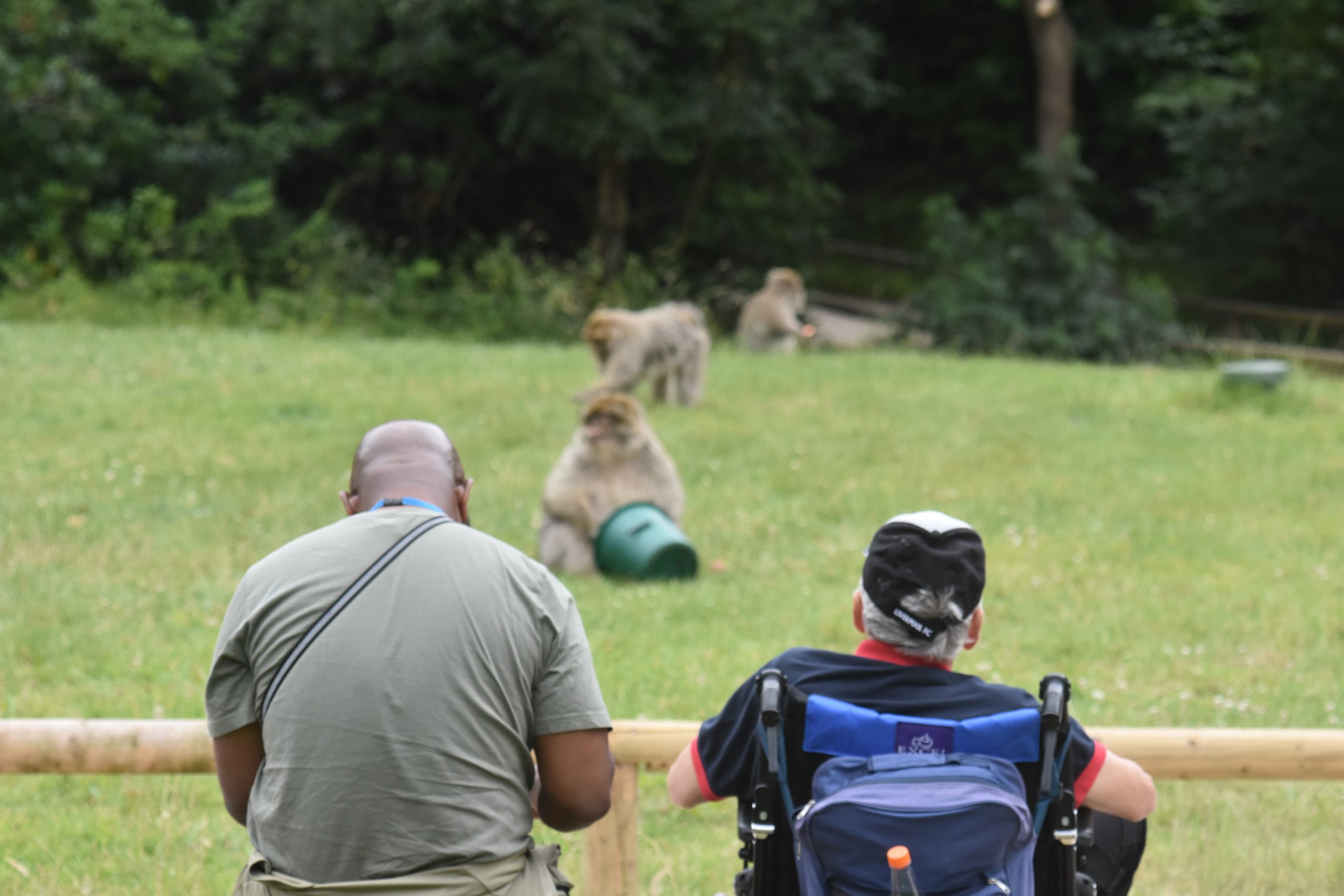 Path Visitors x Monkeys (14)