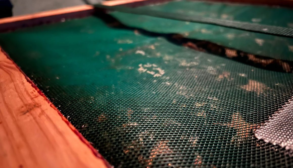 PHOTO-2023-08-18-14-21-31 (1)