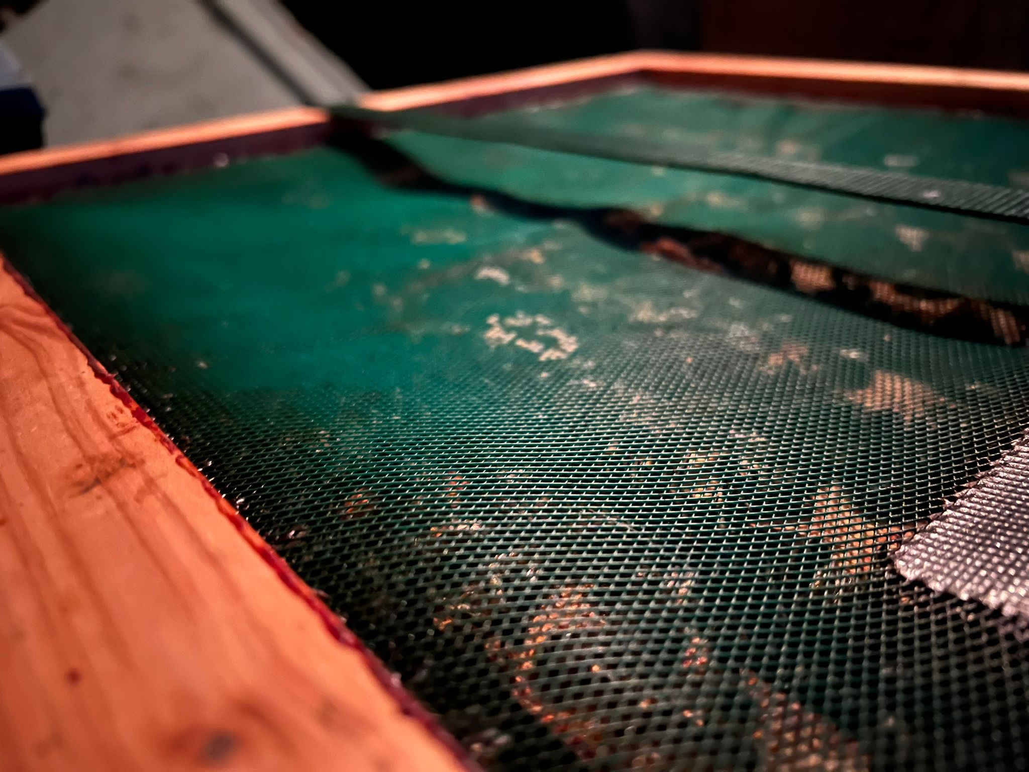 PHOTO-2023-08-18-14-21-31 (1)