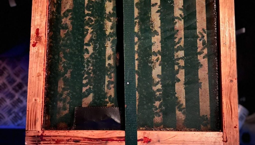 PHOTO-2023-08-18-14-21-31