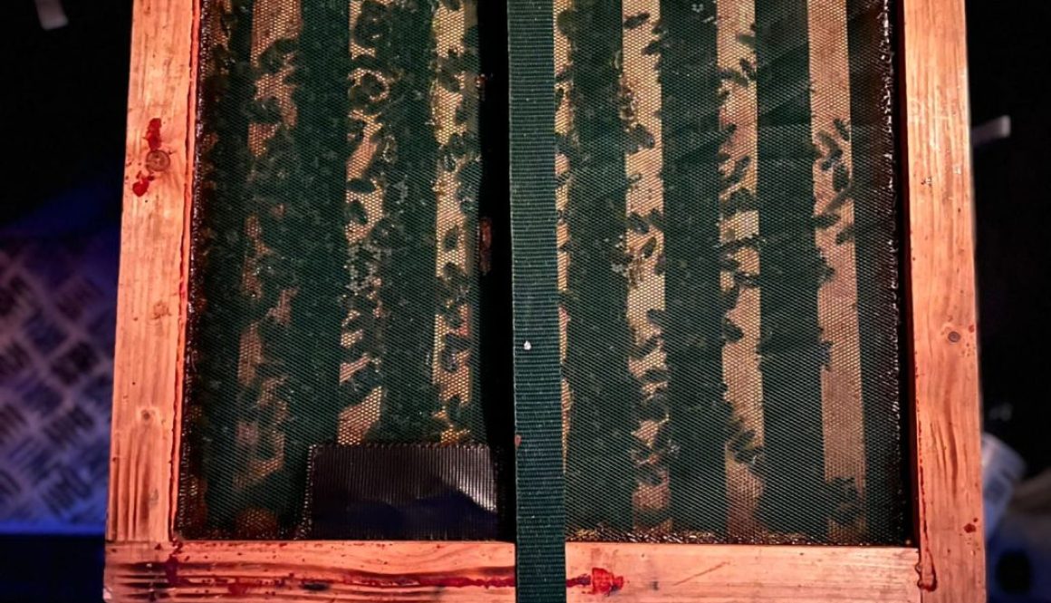 PHOTO-2023-08-18-14-21-31