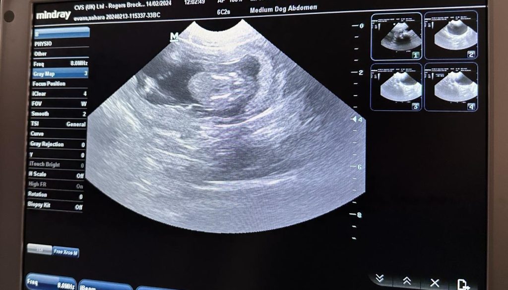 PHOTO-2024-02-14-13-03-44