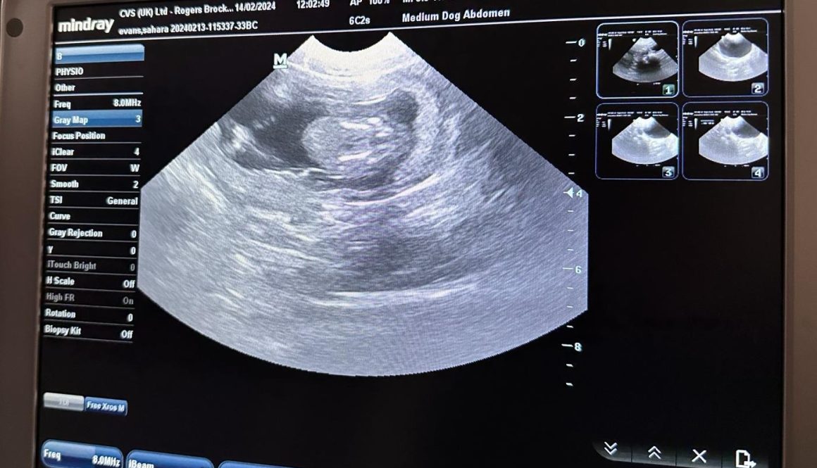 PHOTO-2024-02-14-13-03-44