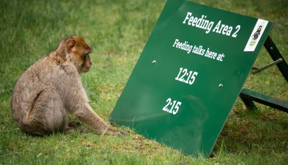 Screenshot 2021-06-17 101155