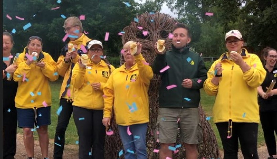 Screenshot 2022-07-23 212104