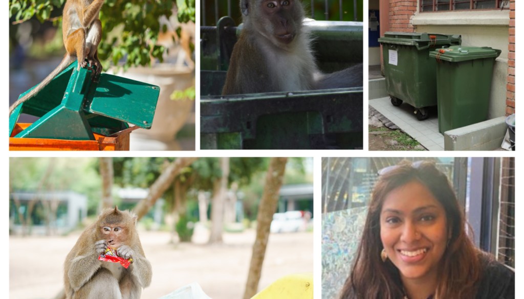 Conservation Collage