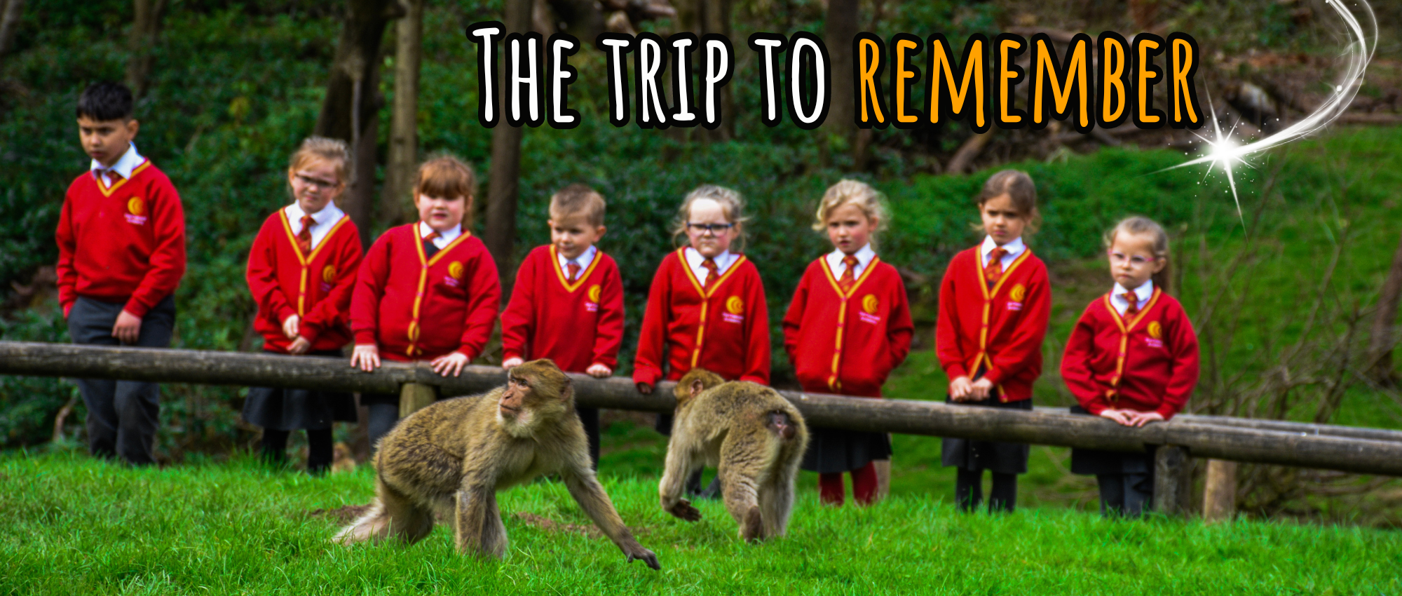 School Trip Zoo