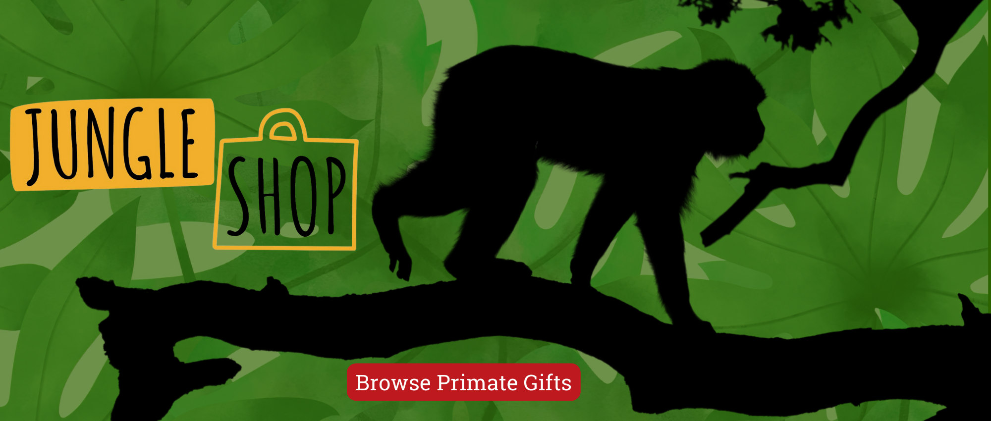 Jungle Shop Gifts 20244