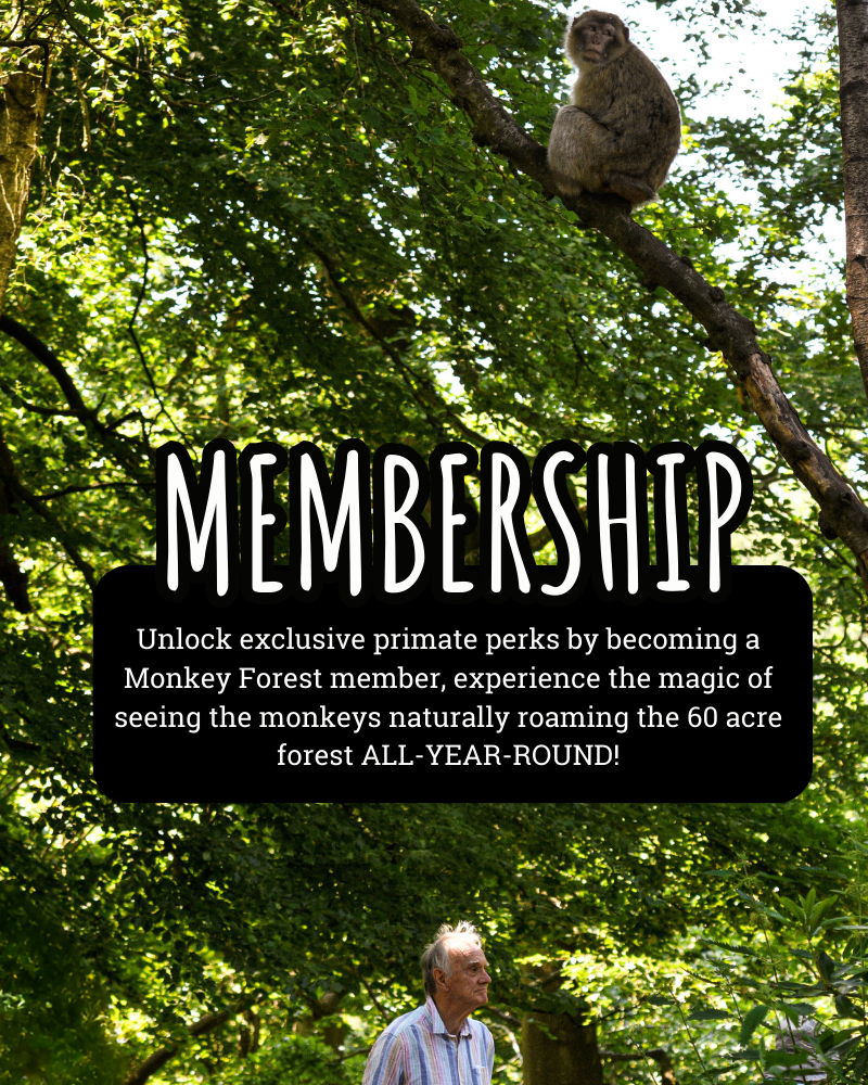 Memberships