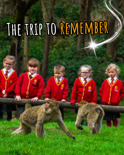 Mobile Sliders (Home) for Site (1)