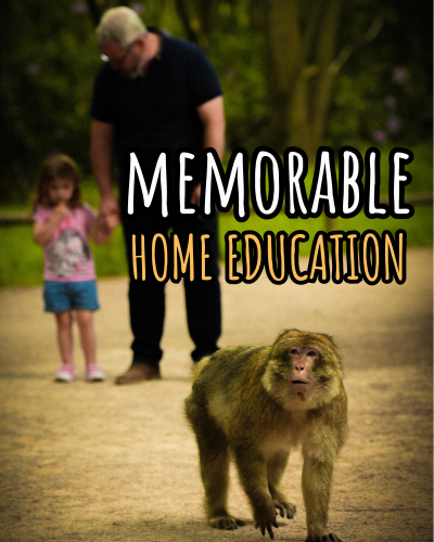 Mobile Sliders (Home) for Site (2)