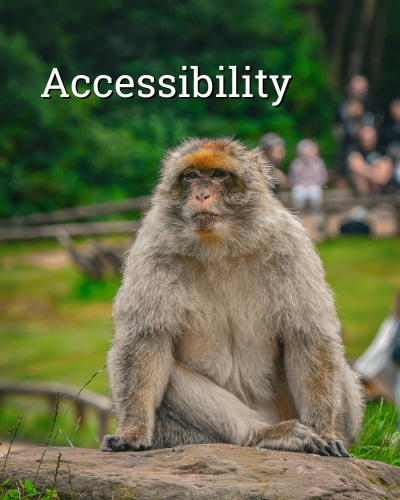 Mobile Sliders (Home) for Site (4)