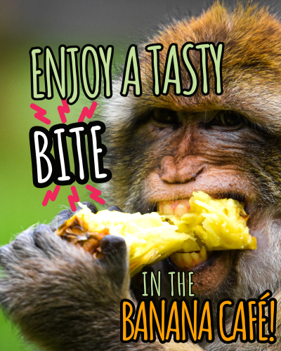 Mobile Sliders (Home) for Site (5)