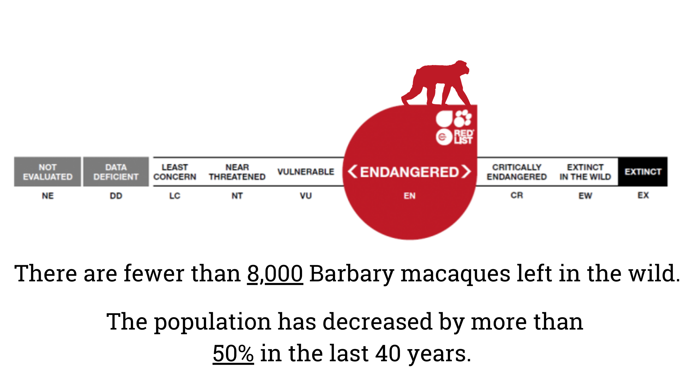 Organisations we support (2)