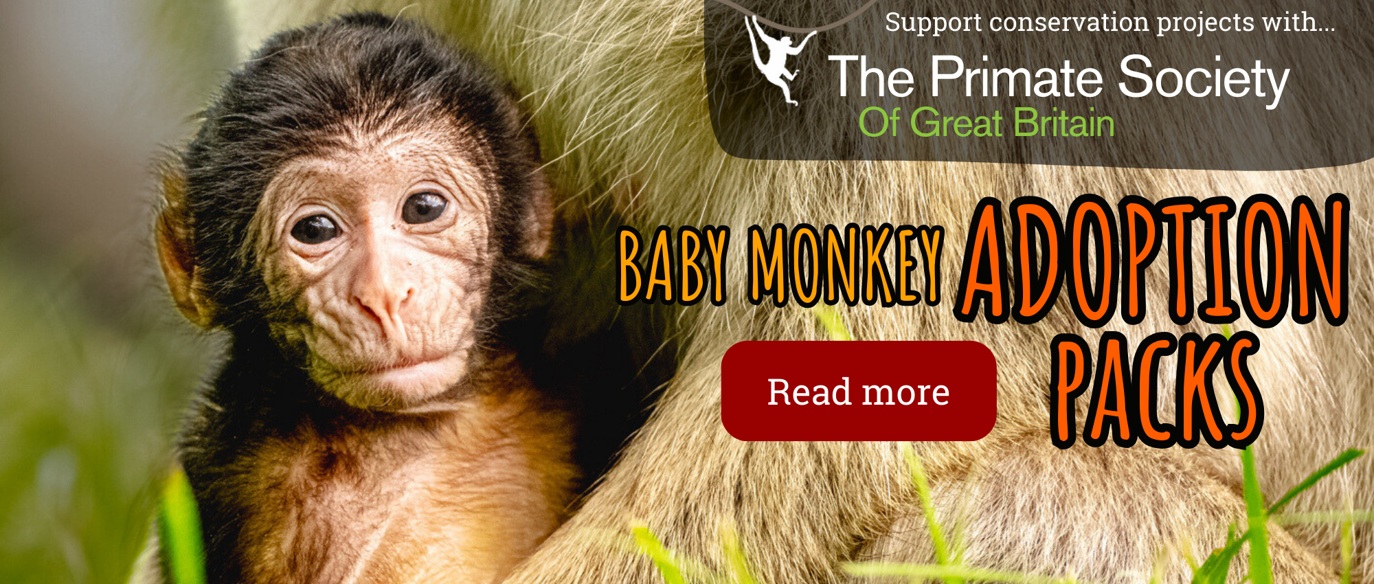 Psgb and Monkey Forest