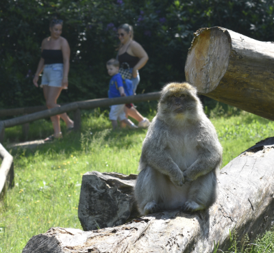 Pre-book Tickets & Secure Your Adventure