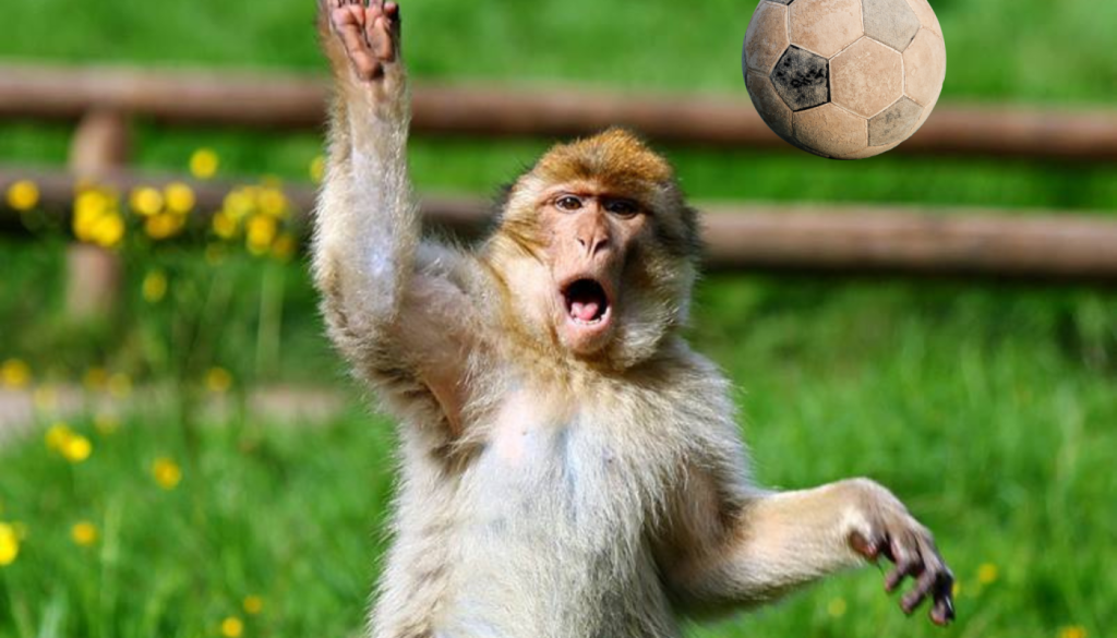 Untitled design (44)