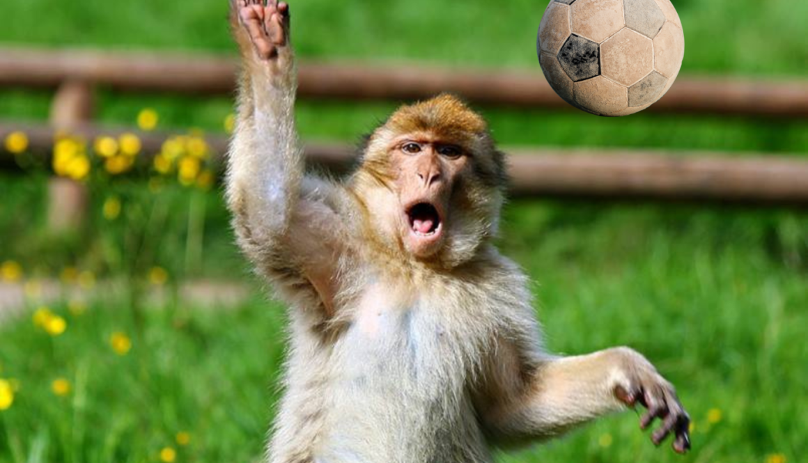 Untitled design (44)