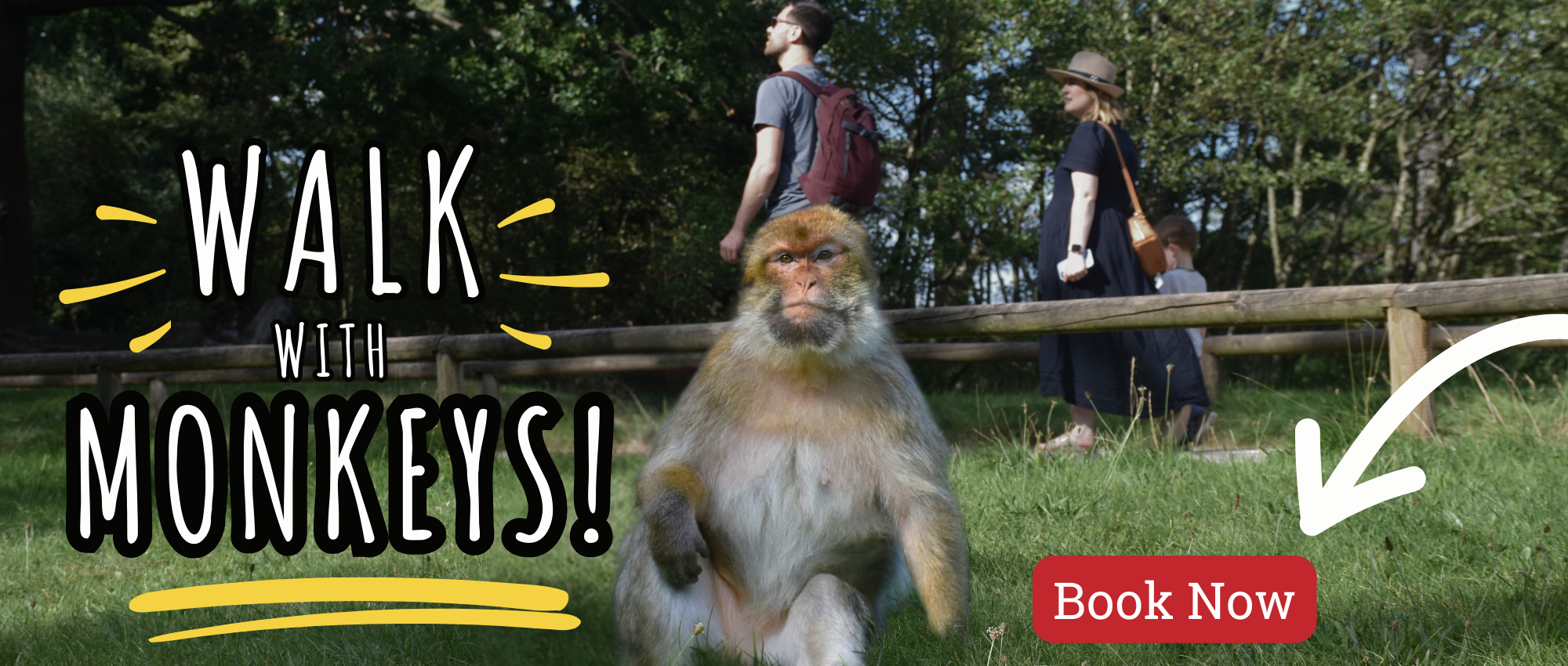 Walk With Monkeys (2024)