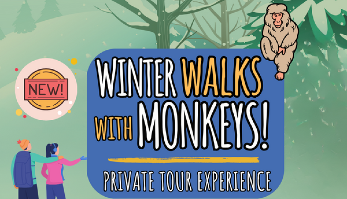 Winter Walks BRAND NEW